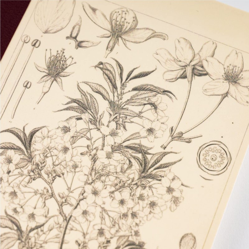 Hobo Nikki Notebook by Makino Tomitaro/Hobo Nikki Grid Notebook (A5)