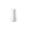 Rosenthal Jade 61040-800001-15030 Salt Shaker