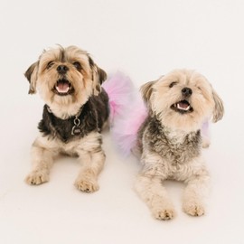 ZARSIO Dog Tutu 3 Layered Dog Tulle Tutu Skirts Pet Outfit Birthday Wedding Party Photo Prop Supplies for Cat Bunny Puppy Small Medium Dogs (Pink, Large)