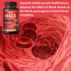 Taoters Maca Capsules - Enhances Performance & Energy, Balance Mood