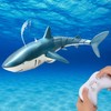 Remote Control Shark Pool Toy – 2.4GHz RC Swimming Shark