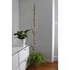 Garland 210 cm 15 Light Birds Acrylic