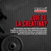 Creatina Platinum Testrol 30 Servicios Sin Sabor Carga Muscular y