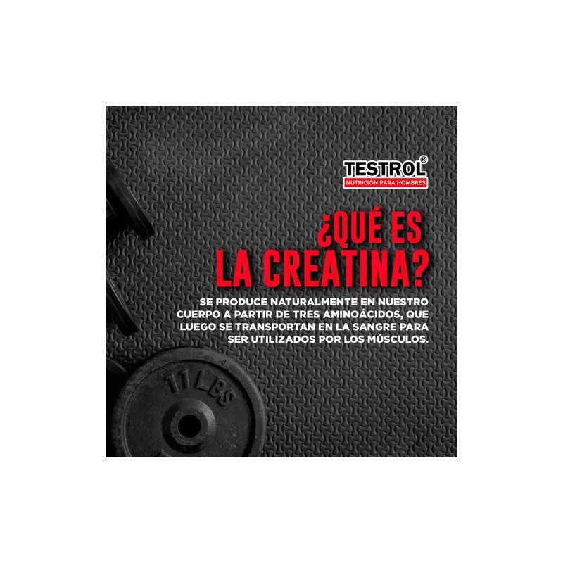 Creatina Platinum Testrol 30 Servicios Sin Sabor Carga Muscular y