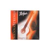 HSS Sienna Set Saiten