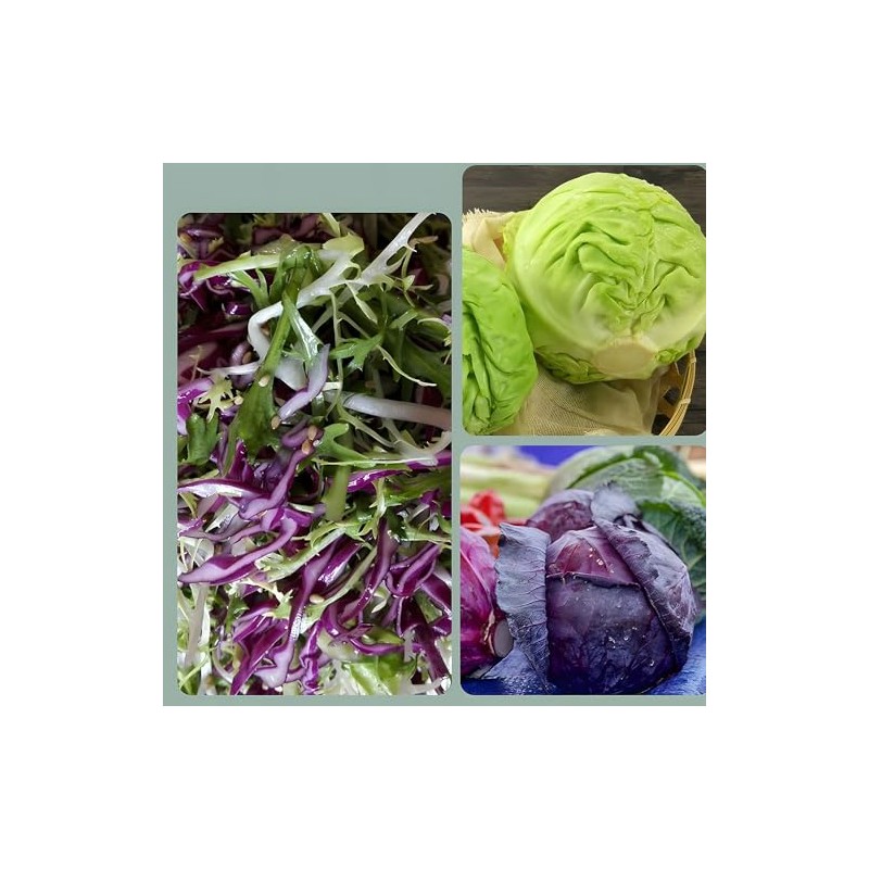 Stainless Steel Handheld Vegetable Chopper - Chip Cutter, Fruit Slicer,