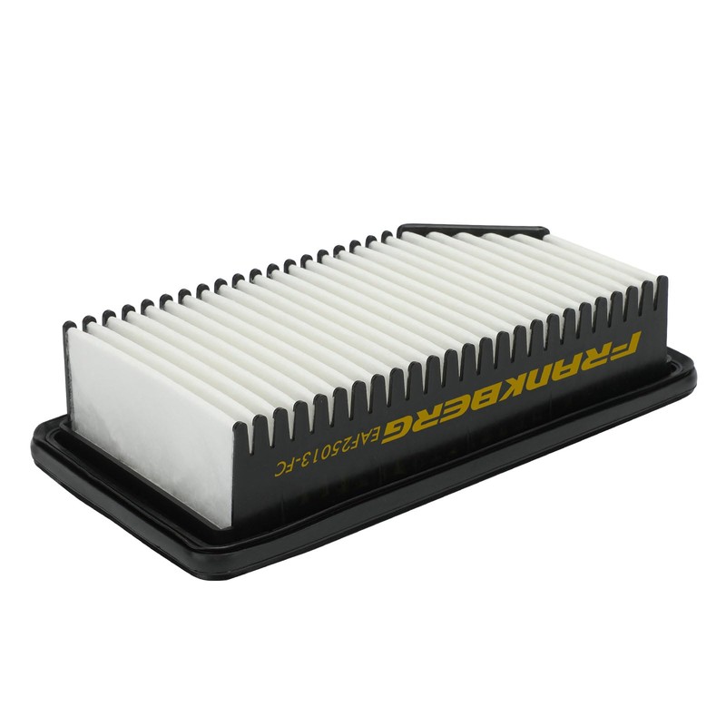 Frankberg 1x Air Filter Insert Petrol Compatible with Rio III