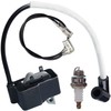 PB-403 Ignition Coil for EchoPB-403 PB-460 PB-601 PB-602 PB-603 Shindaiwa