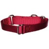 PetSafe Martingale Collar, 3/4" Small, Red