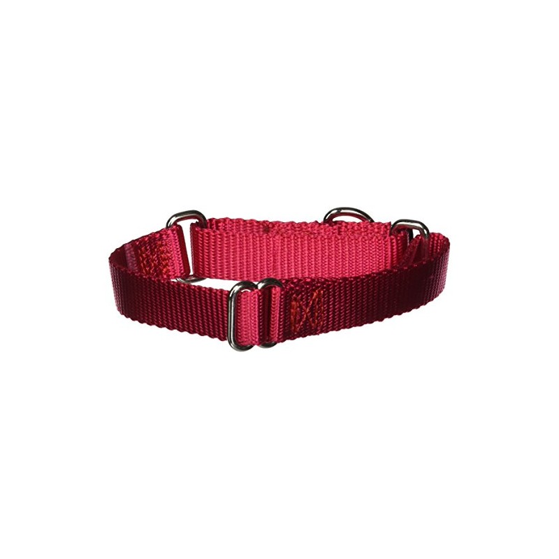 PetSafe Martingale Collar, 3/4" Small, Red