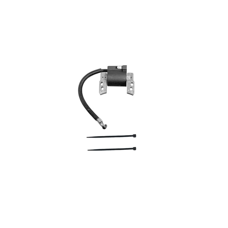 MYOEBN Ignition Coil 796964 695711 fit for BS 6hp 6.5hp