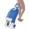 Misorel Carrito De Mandado Con Bolsa Soporta 70 Kg Hogar