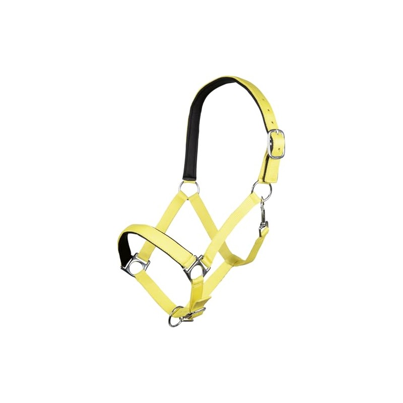 HKM Sports Equipment Stars Soft Lined Headcollar Neon Yellow Thoroughbred