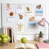 Natural Seashell Fridge Magnets 8PCS, Starfish Shell Refrigerator Magnets