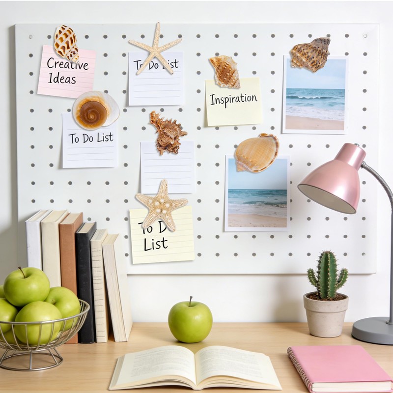 Natural Seashell Fridge Magnets 8PCS, Starfish Shell Refrigerator Magnets