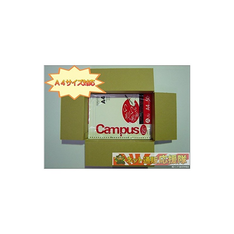 Cardboard Box 60 Size A4 (Cardboard Box) 20 Sheets (External Dimensions: 305 X 215 X