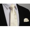 HISDERN Men's Wedding Ties and Pocket Square, Paisley Tie Set,