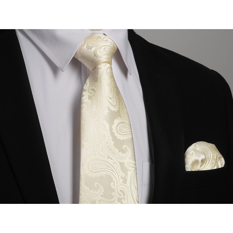 HISDERN Men's Wedding Ties and Pocket Square, Paisley Tie Set,