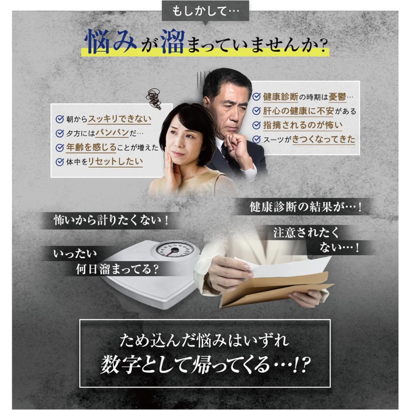 浄化美人 吸着炭粉末 180粒