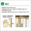 Chopsticks, Seiwa Hexagonal Intelligence Spatula, Popo and Mimi, Children's Chopsticks