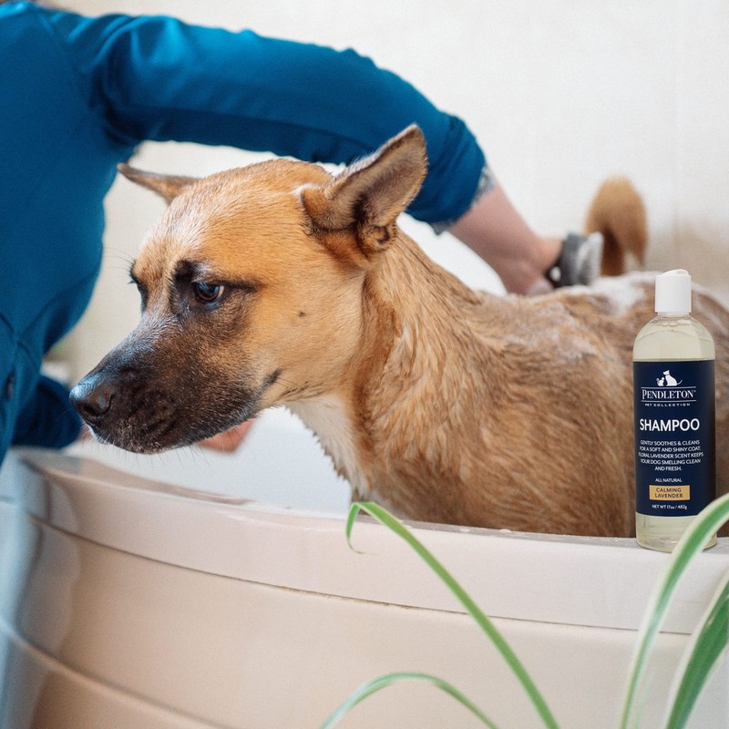 Pendleton Calming Lavender Dog Shampoo