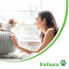 VETNEX PLAQUE CONTROL POWDER SALMON FOR DOG & CAT 100G