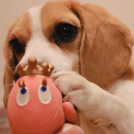 Lanco 8424678701137 King Egg Laugh; 100% Natural Rubber