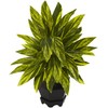 Nearly Natural Ginger Plant with Black Planter