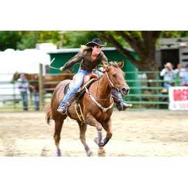 Equine Synergy MSM for Horses and Ponies - 100% Pure Fast-Acting MSM Powder for Optimal Joint Health, Plus the Reduction of Pain and Inflammation