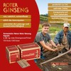 KGV GINSENG - KOREA GINSENG VERTRIEB KGV Koreanischer Reiner Roter