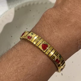 hotoo Charm Italian Bracelet for Women Cherry Pendant Bracelet Trendy Italian Bracelet Stainless Steel Jewelry For Party Christmas Birthday Gifts