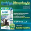 3 Pack Suero Amidan Vitaminado 500ml