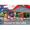 Gardeners Basics Winter, Fall, and Spring Vegetable Seeds for Planting