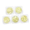 Healvian 3sets Luminous Sequin Nail Stickers Bottles of Star Moon