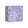 Semi di Lino Duo Set Smooth - Para cabello rebelde.
