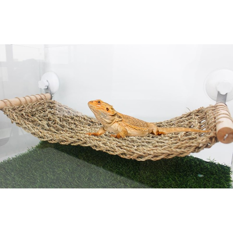 FlidRunest 21.6 x 7.8 in Seagrass Bearded Dragon Hammock for