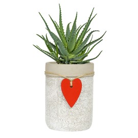 Classic Home and Garden 210027P-396 Heart Vase Planter, Whitewash