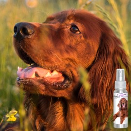 The Blissful Dog ® Inc. Irish Setter Relax Dog Aromatherapy Soothes Anxious, Frightened, Terrified Dogs - SPRAY MISTER