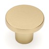 Ravinte 1 Pack Cabinet Knobs Sandy Gold Kitchen Cabinet Knobs
