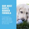 KONG Puppy - Natural Teething Rubber Chew Toy for Dogs