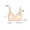 Wacoal Women's Perfect Primer Wire Free Bra, Sand, 36C