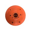 LITEC DP057 Shape Up Twister