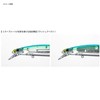 Shimano Exsense 2020 XU-112T Salt Plug Lure, 002F Mullet, 4.7