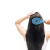 SS [에스에스_62]곱슬 잘빗어지는빗 머리 빗 [블루 053130DC／FREE] [SS_62] Curly Detangling Comb Hair Brush [Blue 053130DC/FREE]
