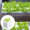 Hydroponic Sponge Blocks, Set of 100/200 Pieces, Polyurethane Sponges, Planting