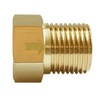 Joywayus Brass Check Valve 1/2" Female to 1/2" Male Thread