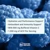 Essential Elements Hydration Packets - Blue Raspberry Pack - Sugar