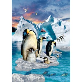 Puzzle for Adults, 1000 Pieces, Penguin Family, 70 x 50 cm, Puzzles for Adults, Educational Game, Challenge Toy, 1000 Pieces Puzzles for Adults, Children