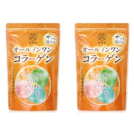 オールインワンコラーゲン 4種の美肌成分 低分子 コラーゲンペプチド セラミド エラスチン ビタミンC 粉末 パウダー collagen 120g 2個セット