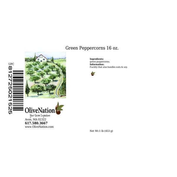 OliveNation Green Peppercorns 16 oz